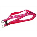 Fly Free Zone,Inc. Reflective Skull Dog Harness; Pink - Medium FL17697